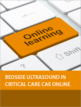 Bedside Ultrasound in Critical Care CAE Online