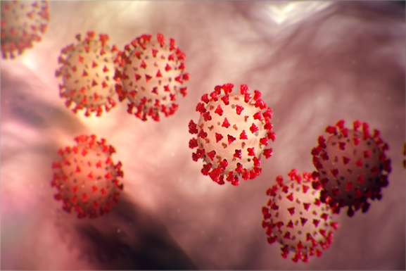 Coronavirus image