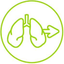 Diffuse Lung Disease and Lung Transplant Network icon