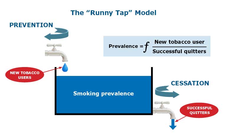 The Runny Tap model shows that to impact smoking prevalence, education and advocacy efforts need to target the needs of both current and prospective tobacco users.