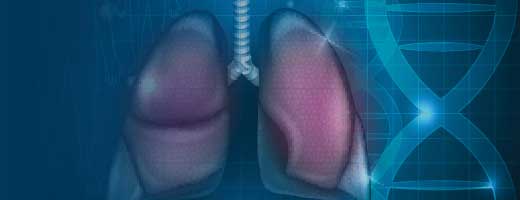 A pair of lungs on a blue background