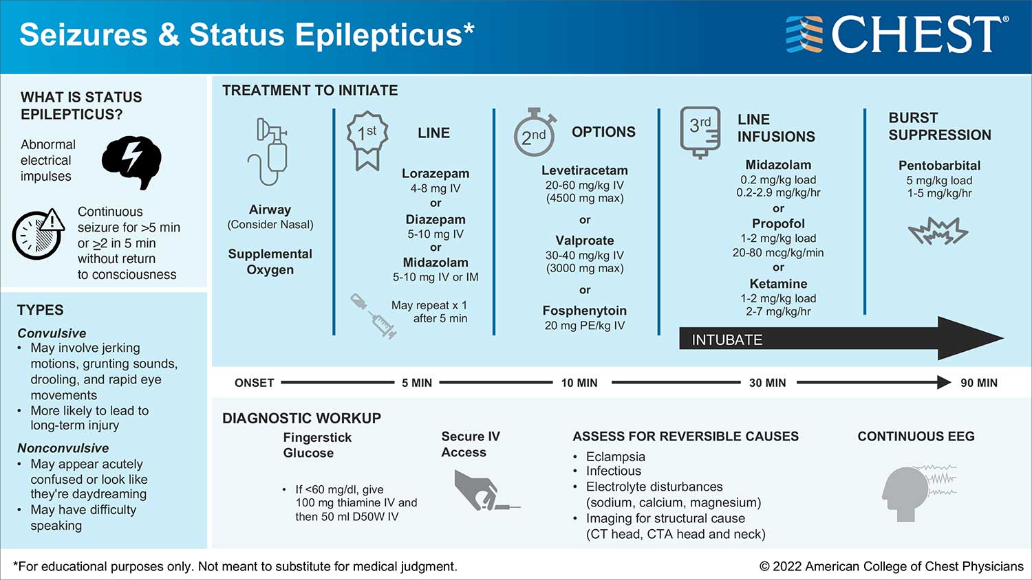 Seizures and Status Epilepticus infographic