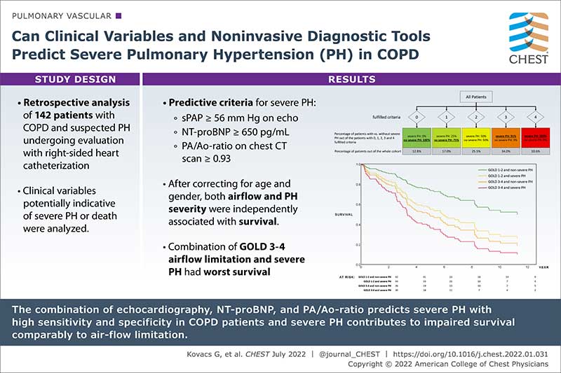 Can Clinical Variables and Noninvasive Diagnostic Tools Predict Severe Pulmonary Hypertension (PH) in COPD 