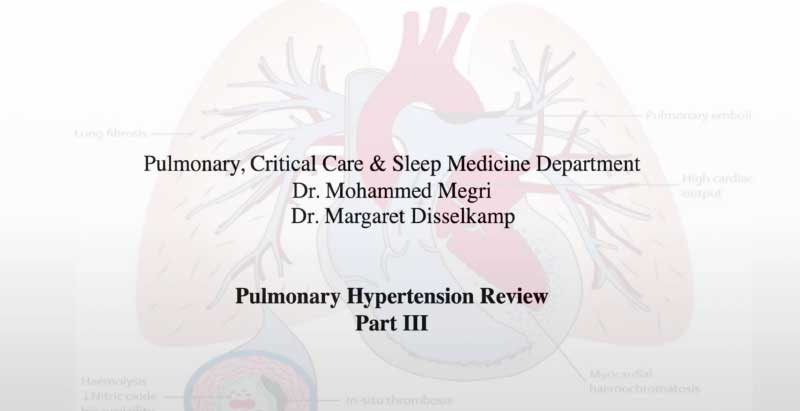 Algorithm for Evaluating a Patient With Pulmonary Hypertension