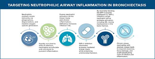 Targeting Neutrophilic Airway Inflammation In Bronchiectasis figure