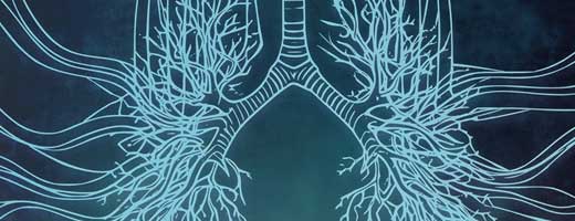 Graphic of lungs branching