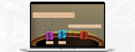 An animated video on a laptop screen