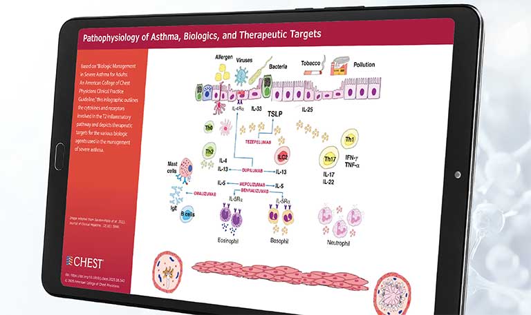 Pathophysiology of Asthma, Biologics, and Therapeutic Targets infographic