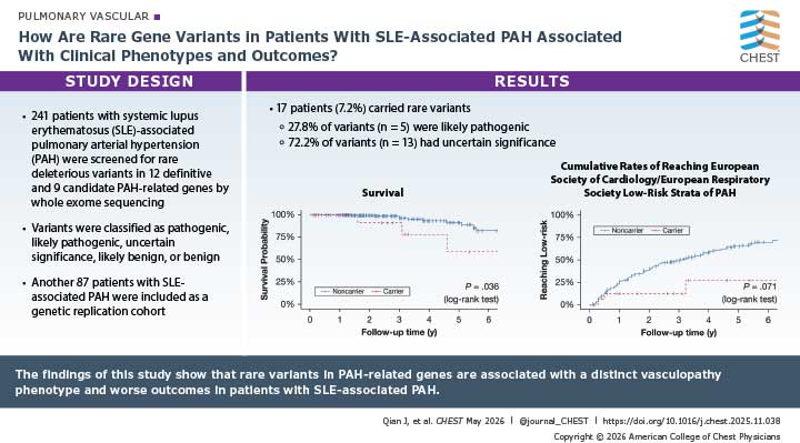 visual abstract