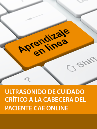 LATAM COC - CAE Online